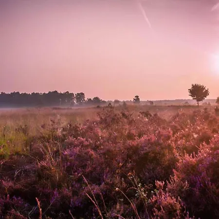 Nyaraló In Near Veluwe Park, Cleaning Included