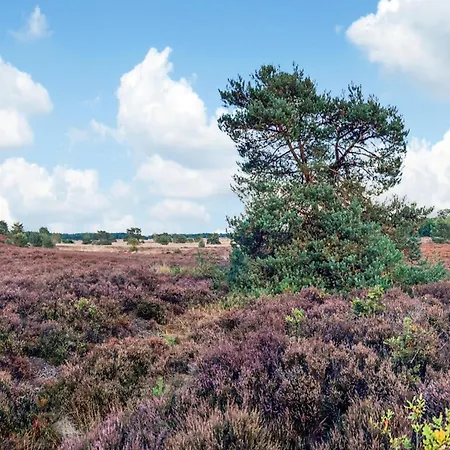 Nyaraló In Near Veluwe Park, Cleaning Included