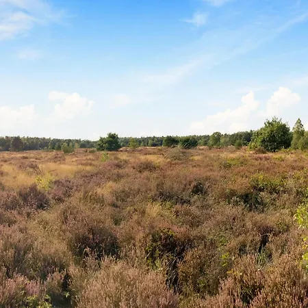 In Near Veluwe Park, Cleaning Included Nyaraló *