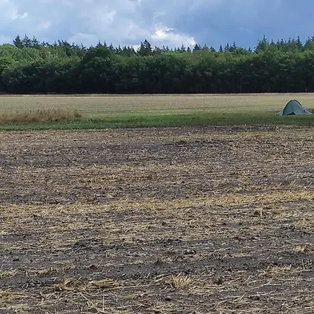 In Near Veluwe Park, Cleaning Included Voorthuizen