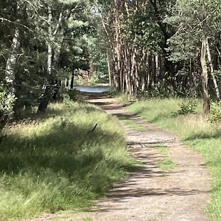 In Near Veluwe Park, Cleaning Included Voorthuizen