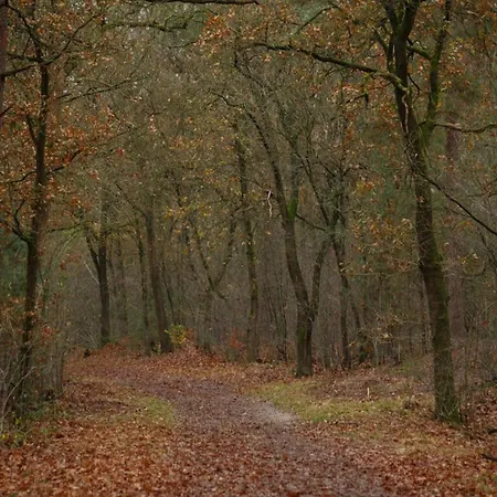 Nyaraló In Near Veluwe Park, Cleaning Included *