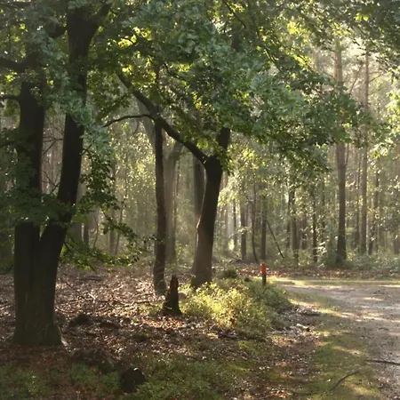 In Near Veluwe Park, Cleaning Included * Voorthuizen